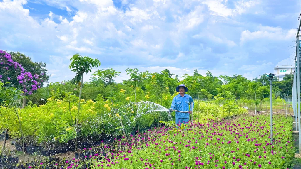 Cuộc thi ảnh đẹp 2026 - Công Ty CP Khu Công Nghiệp Thành Thành Công (TTC IZ)